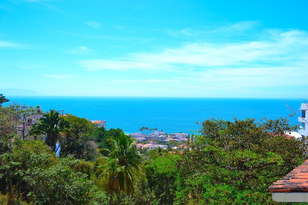 Condo Selva Alta Puerto Vallarta Oda fotoğraf